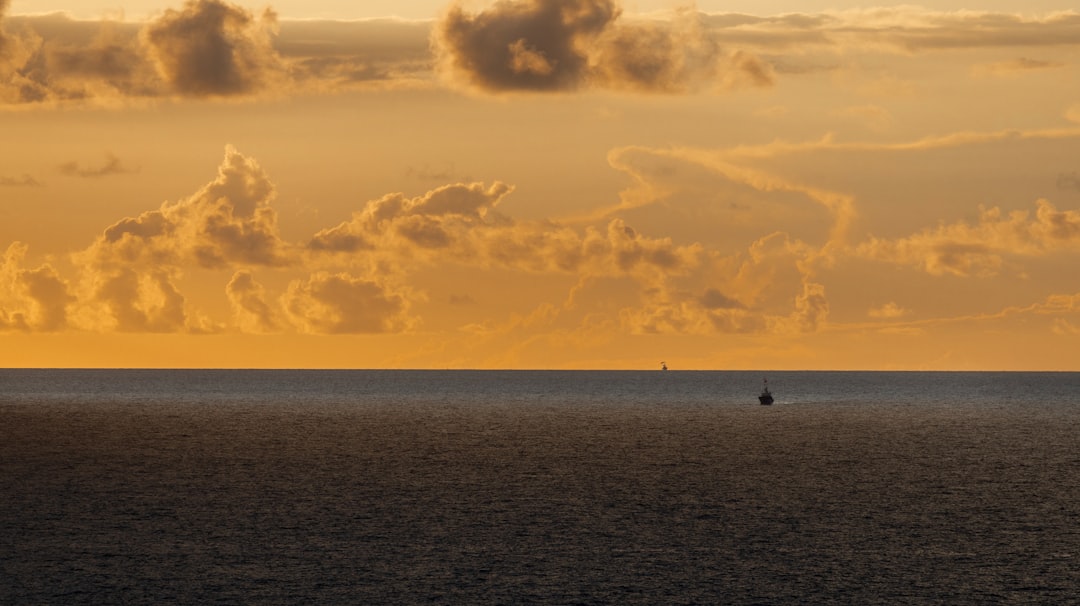 A line of heavy-duty fishing rods set up on the back of a charter boat heading out into the open ocean at sunrise.